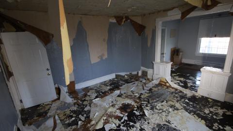 A Ticking Time-Bomb - IMG_9185.JPG