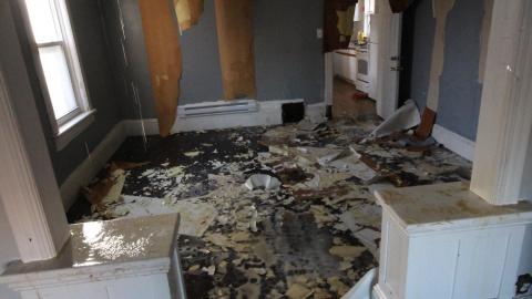 A Ticking Time-Bomb - IMG_9184.JPG