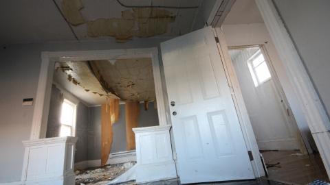 A Ticking Time-Bomb - IMG_9182.JPG