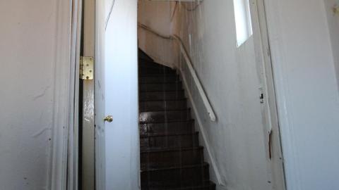 A Ticking Time-Bomb - IMG_9181.JPG