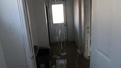 A Ticking Time-Bomb - IMG_9179.JPG