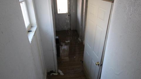 A Ticking Time-Bomb - IMG_9178.JPG