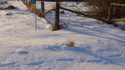 Fenel Rd home exterior views - Fenel Rd home green .jpg