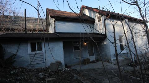 1/2 N' 1/2 - IMG_9369.JPG