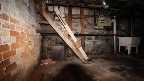 1/2 N' 1/2 - IMG_9366.JPG