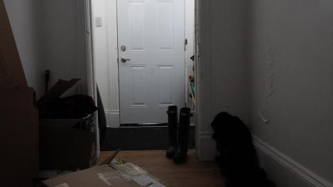 1/2 N' 1/2 - IMG_9329.JPG