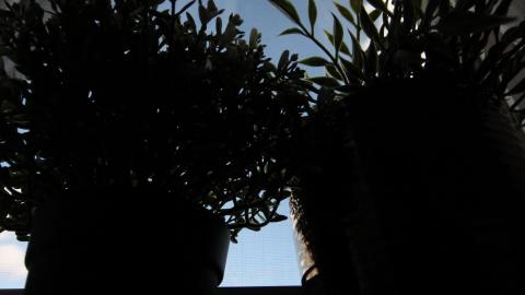 1/2 N' 1/2 - IMG_9315.JPG