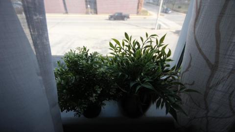 1/2 N' 1/2 - IMG_9314.JPG