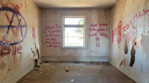 Just Another Farm photo 5