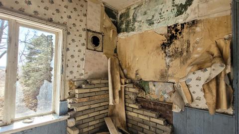 Free Bird - 20210313_120205.jpg