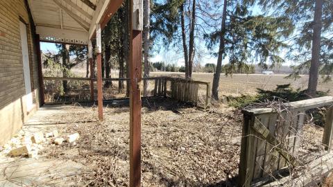 Just Another Farm photo 2