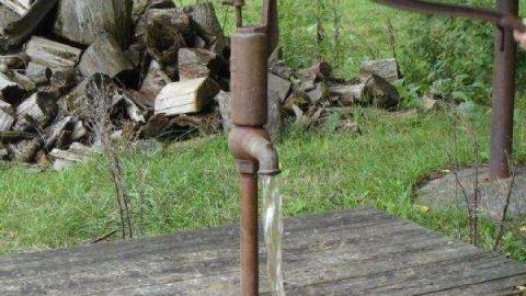 Campbellford Country Cottage photo 4