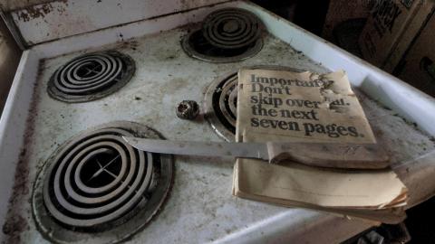 February 2019 Revisit - Collages5.jpg