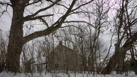 February 2019 Revisit - Collages8.jpg