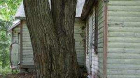 Campbellford Country Cottage photo 3