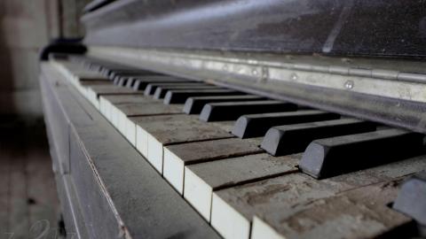 February 2019 Revisit - Collages31.jpg