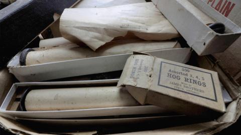 February 2019 Revisit - Collages41.jpg