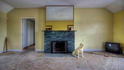 March 2019 - Collages18.jpg