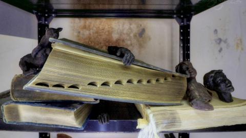 March 2019 - Collages67.jpg