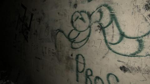 Abandoned Truck Trailer March 2021 - IMG_1860.JPG