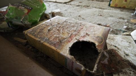 Empty Shelves - June 2017 - 8.jpg