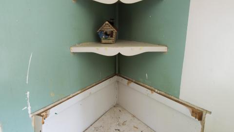 Empty Shelves - June 2017 - 30.1.jpg