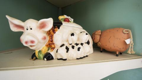 Empty Shelves - June 2017 - 30.jpg