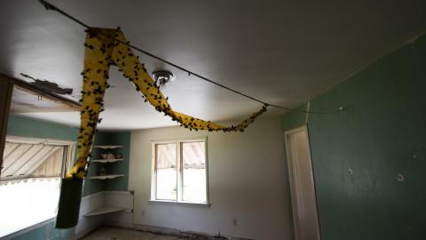 Empty Shelves - June 2017 - 42.jpg