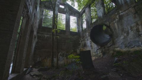 Becoming One With Nature - Aug. 2017 - 1.jpg