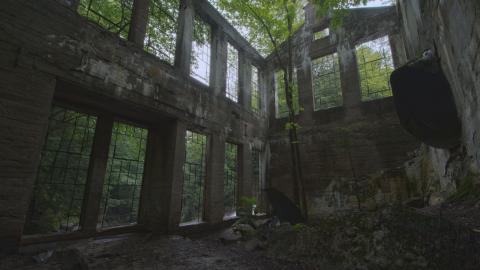 Photo from Becoming One With Nature - Aug. 2017