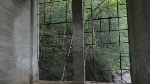 Becoming One With Nature - Aug. 2017 - 3.jpg