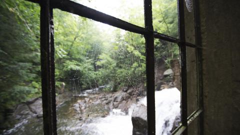 Becoming One With Nature - Aug. 2017 - 4.jpg