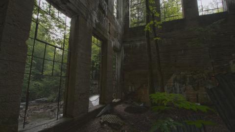 Becoming One With Nature - Aug. 2017 - 5.jpg