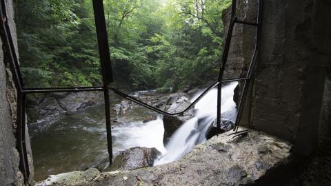 Becoming One With Nature - Aug. 2017 - 7.jpg