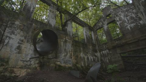 Becoming One With Nature - Aug. 2017 - 8.jpg