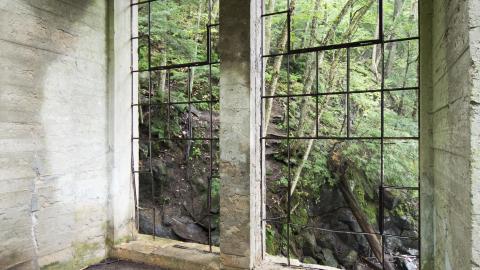 Photo from Becoming One With Nature - Aug. 2017