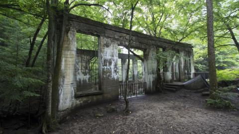 Becoming One With Nature - Aug. 2017 - 12.jpg