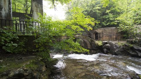 Becoming One With Nature - Aug. 2017 - 13.jpg