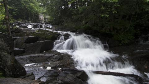 Photo from Becoming One With Nature - Aug. 2017