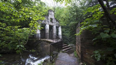 Becoming One With Nature - Aug. 2017 - 17.jpg