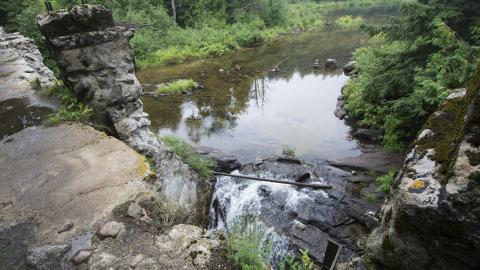 Becoming One With Nature - Aug. 2017 - 20.jpg