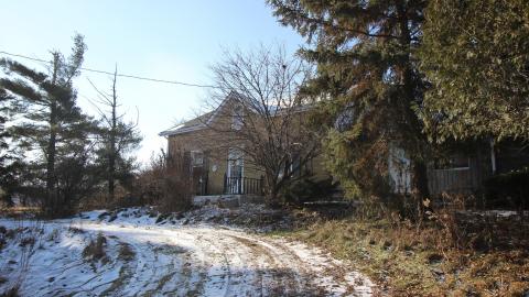 Bare Whistle - IMG_6128.JPG