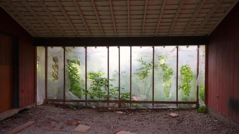 Trashed & Boring Twosome July '20 - DSC07735.JPG