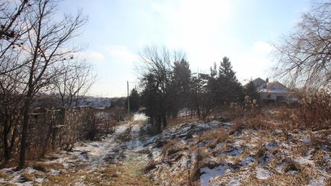 Whistle Bare photo 3