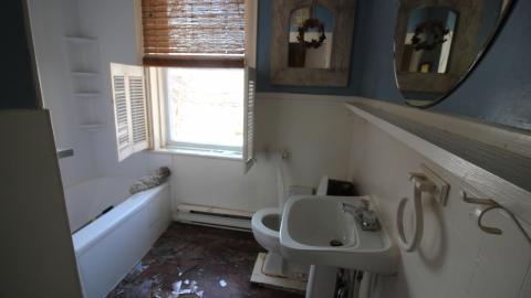 Bare Whistle - IMG_6163.JPG