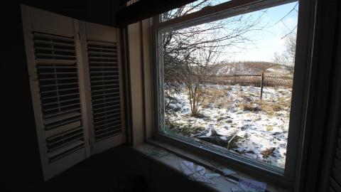 Bare Whistle - IMG_6166.JPG