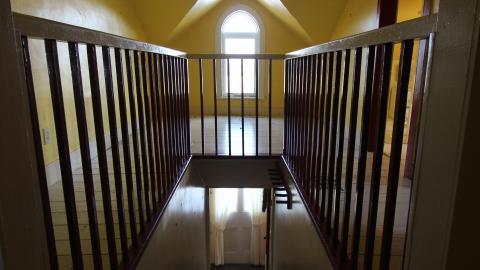 Whistle Bare photo 2