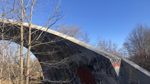 Photo from Youngins on the Arch