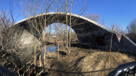 Youngins on the Arch - 5AF13CB1-7CDA-43BD-9EE0-F445A9B711BD.jpeg