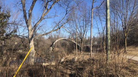 Youngins on the Arch - A9955AEA-6A4E-4242-9FC5-8E6C3CB559FE.jpeg